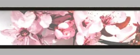 23.1inch Bar lcd screen andorid DN2310-WA. PX30 (1)