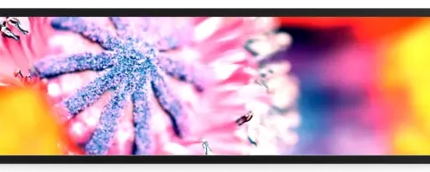 29.4inch Bar lcd screen andorid DN2940-WA. Standard (1)