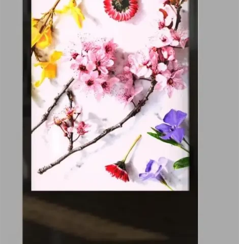49inch LCD Advertising Screen Floor standing Serial (1)